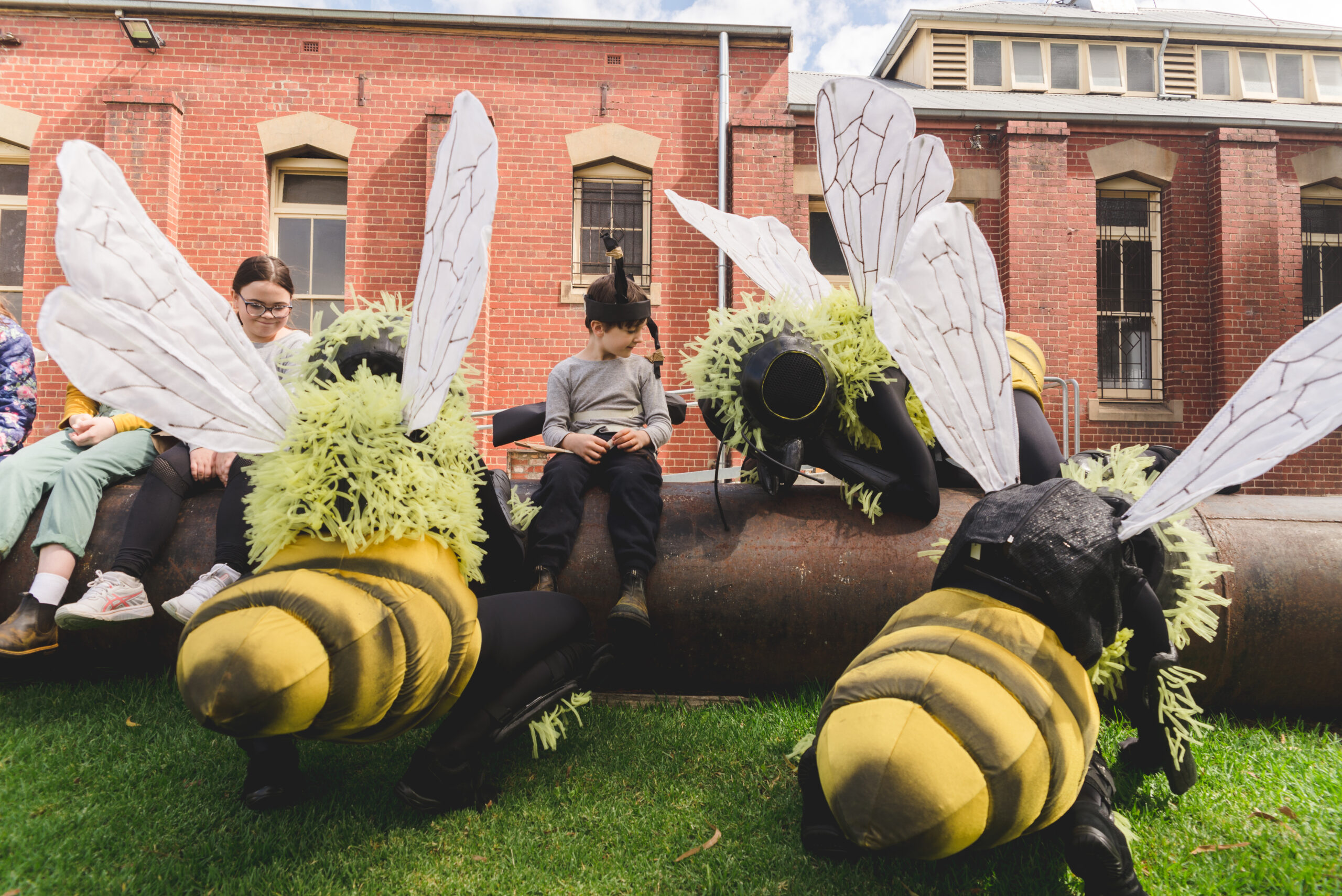 Polyglot Theatre’s Bees image